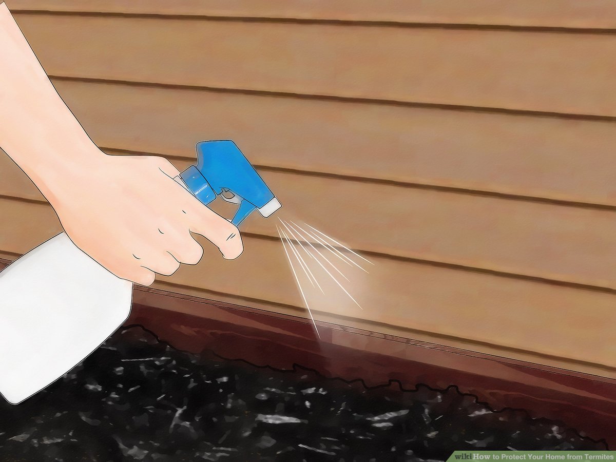 Termite Control